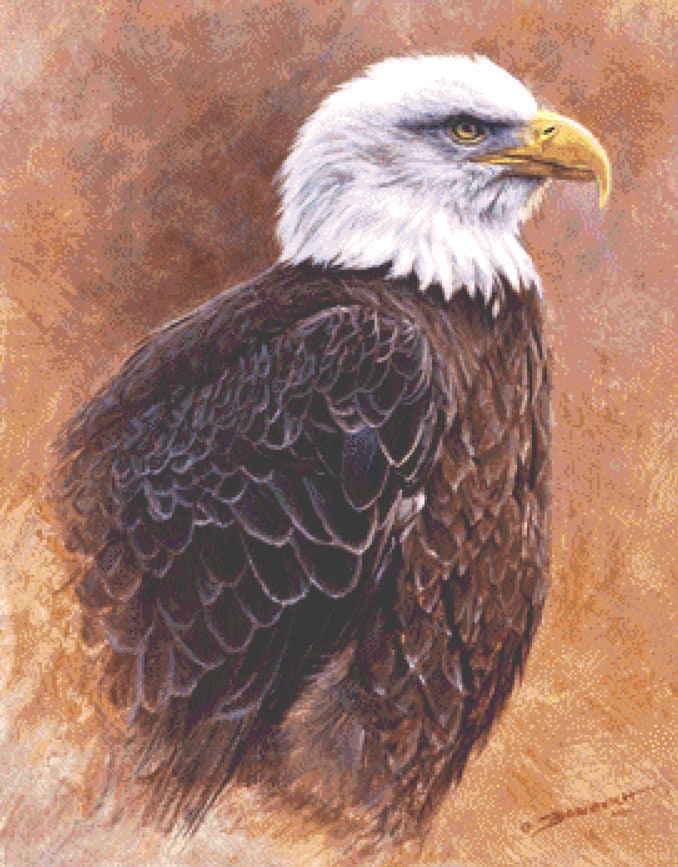 Freedom cross stitch pattern by John Banovich/Ansada Art Licensing Group, LLC.