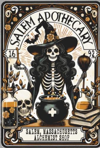 Salem Massachusetts Apothecary counted cross stitch pattern by Pixel Paige Studios