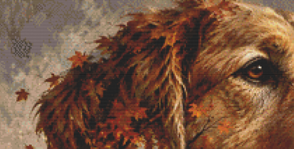 "Eternally Man's Best Friend" cross stitch pattern by Queen Bee Designs