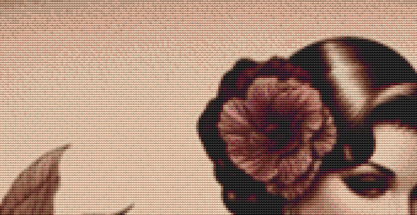 "Hibiscus and Lace" cross stitch pattern by S. Jade Studio
