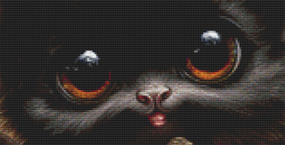Sweet Little Bat cross stitch pattern by Queen Bee Designs