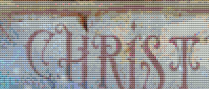 Fungi Christmas counted cross stitch pattern by SharmStudio