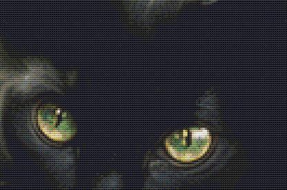 Black Cat Superstitious Marbles by Serr.Kai A Quill & Ink