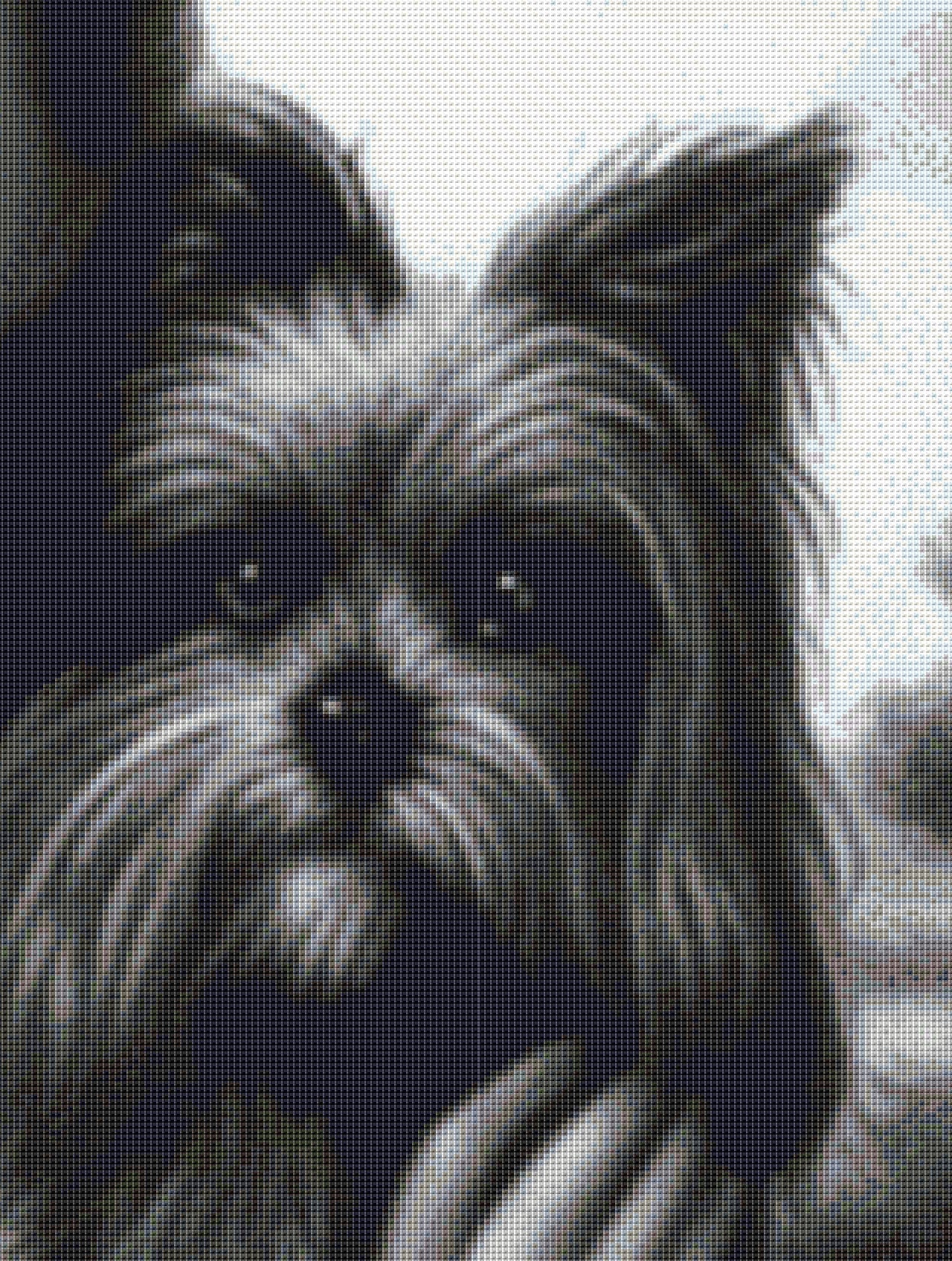 Dorothy cross stitch pattern by SphinxDesignStudio
