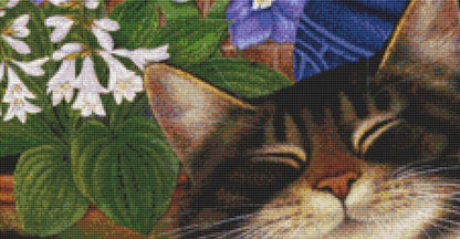 Summer Smile cross stitch pattern by Anne Mortimer/Porterfields Fine Art Licensing