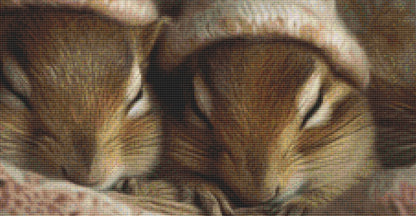 Sleeping Chipmunks cross stitch pattern by Tammy L. Gross