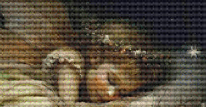 Fairy Sleep cross stitch pattern by Tammy L. Gross