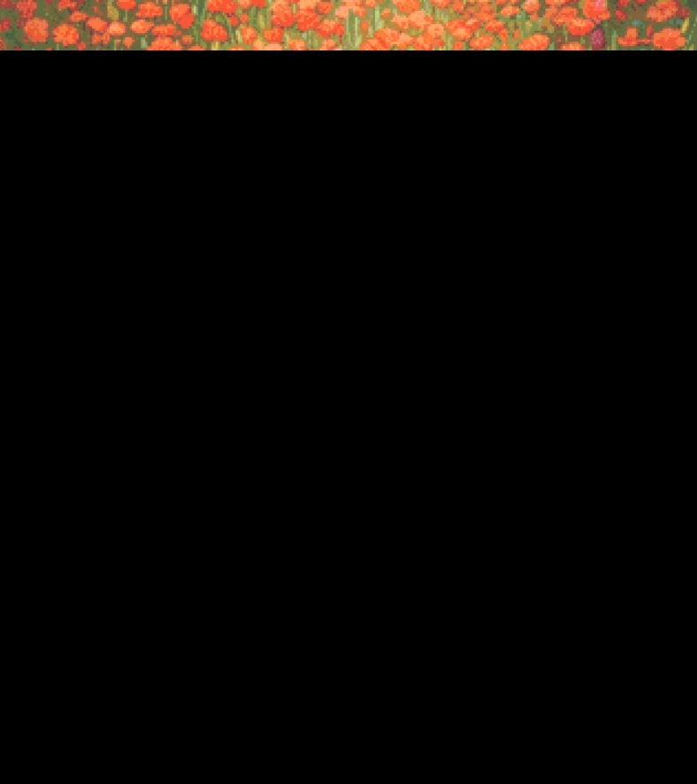 Black Cat and Orange Flowers cross stitch pattern by Eder Jose Rosa