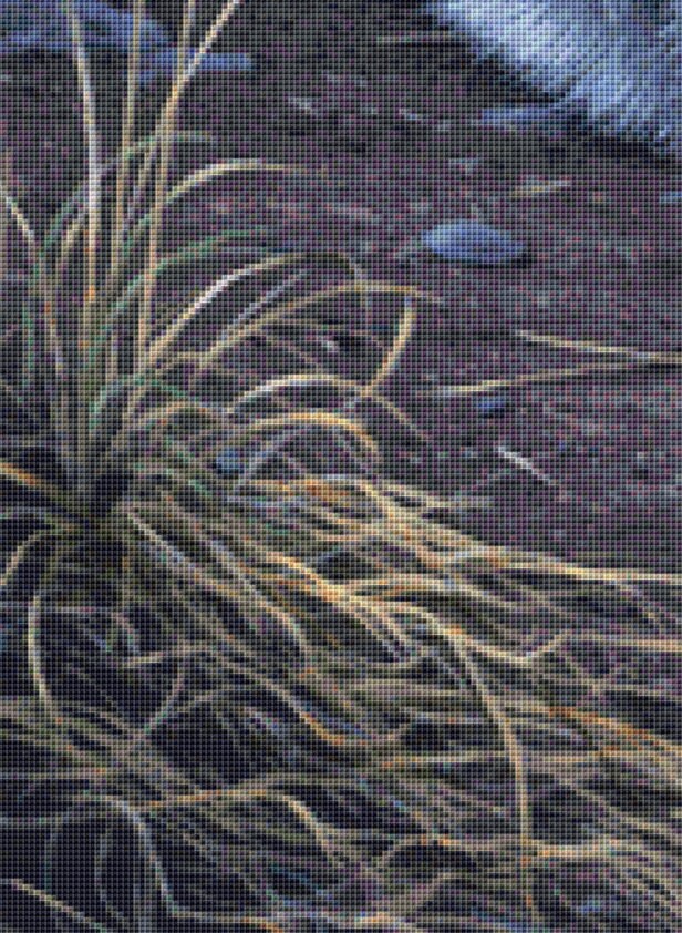 Wolf Portrait cross stitch pattern by Daniel Smith/Ansada Art Licensing Group, LLC