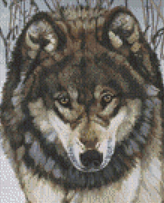 Face to Face cross stitch pattern by Audrey Casey/Ansada Art Licensing Group, LLC