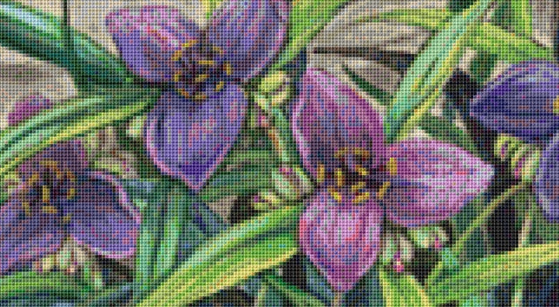 Red Eared Slider cross stitch pattern by Linda Howard Bittner/Ansada Art Licensing Group, LLC.