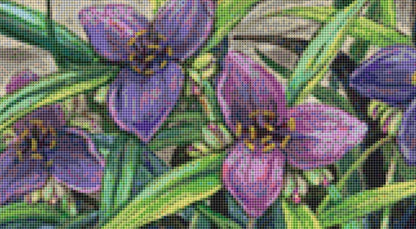Red Eared Slider cross stitch pattern by Linda Howard Bittner/Ansada Art Licensing Group, LLC.