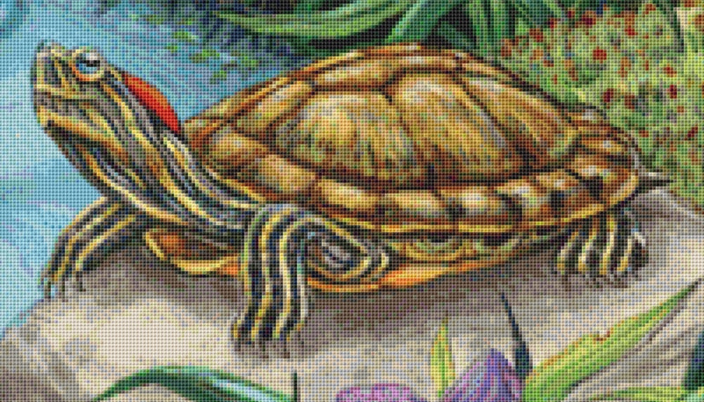 Red Eared Slider cross stitch pattern by Linda Howard Bittner/Ansada Art Licensing Group, LLC.