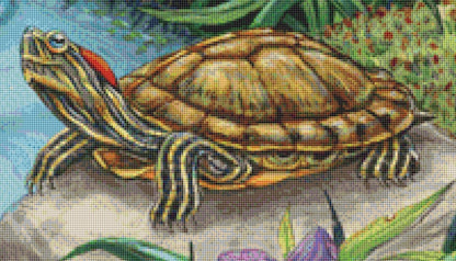Red Eared Slider cross stitch pattern by Linda Howard Bittner/Ansada Art Licensing Group, LLC.