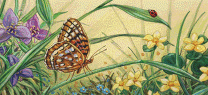 Red Eared Slider cross stitch pattern by Linda Howard Bittner/Ansada Art Licensing Group, LLC.