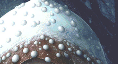 Wintery Mushroom Girl cross stitch pattern by Serr.Kai A Quill & Ink