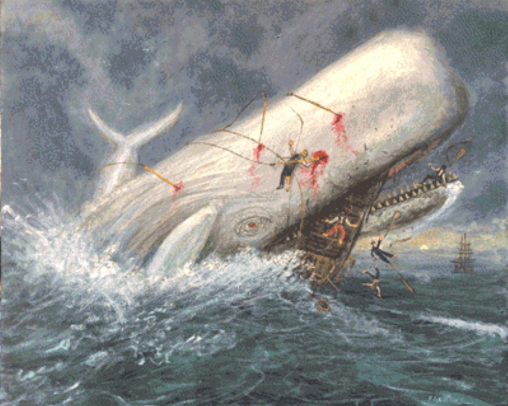 Moby Dick cross stitch pattern by Patrick Gauthier