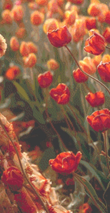 Woman in a Field of Flowers 8 cross stitch pattern by Eder Jose Rosa (Digital Format)