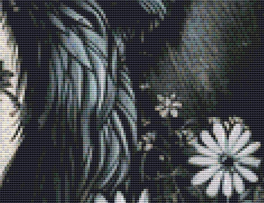 Raven 2 cross stitch pattern by PassyArt