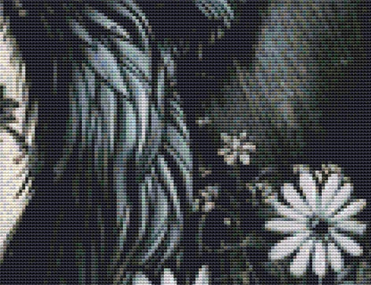 Raven 2 cross stitch pattern by PassyArt