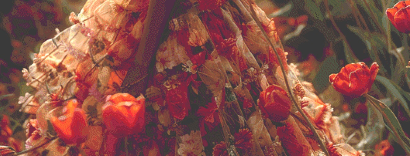 Woman in a Field of Flowers 8 (Max Colors/Size) cross stitch pattern by Eder Jose Rosa