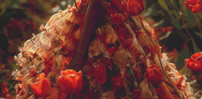 Woman in a Field of Flowers 8 (Max Colors) cross stitch pattern by Eder Jose Rosa