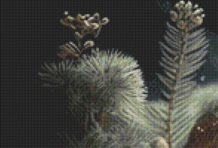 Chip Pine cross stitch pattern by Tammy L. Gross