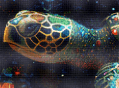 The Turtle in Sea Flowers cross stitch pattern by Eder Jose Rosa