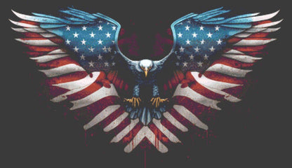 One Dream American Eagle cross stitch pattern by Eder Jose Rosa