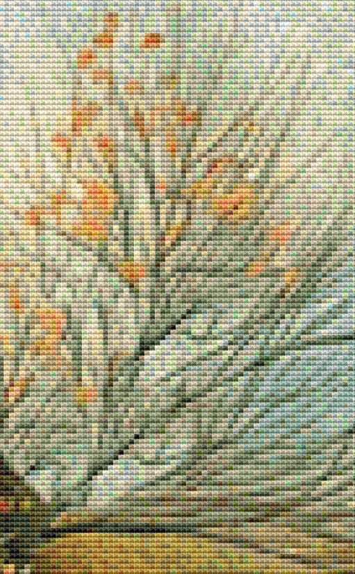 Fizzy House cross stitch pattern by Tammy L. Gross