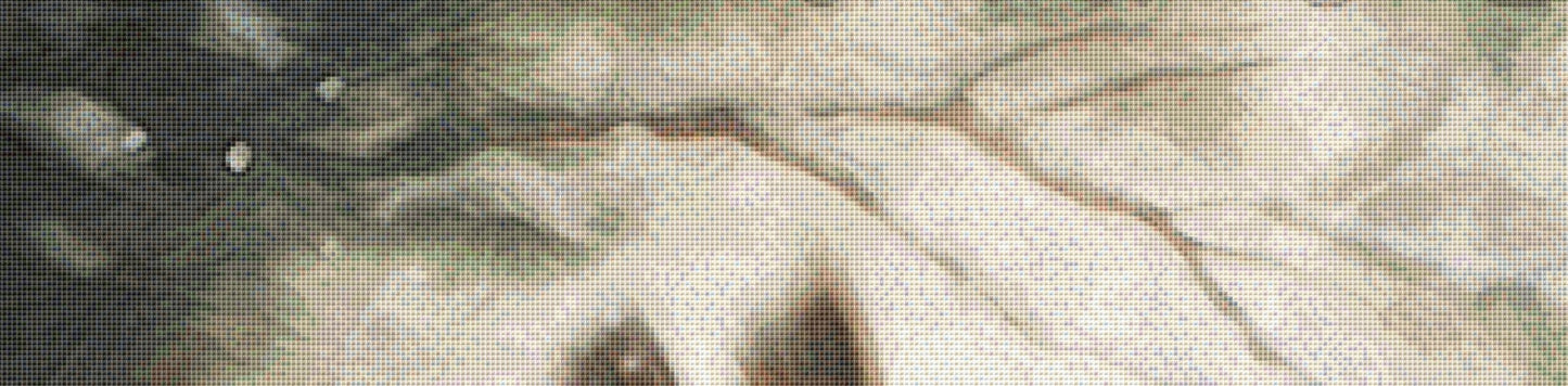 Cuddle cross stitch pattern by Tammy L. Gross