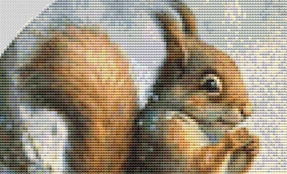 Squirrel (Round) cross stitch pattern by Tammy L. Gross