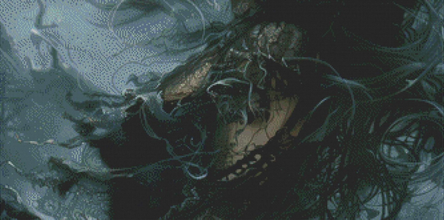 Witch of the Deep (Max Size) counted cross stitch pattern by The Art Revivalist
