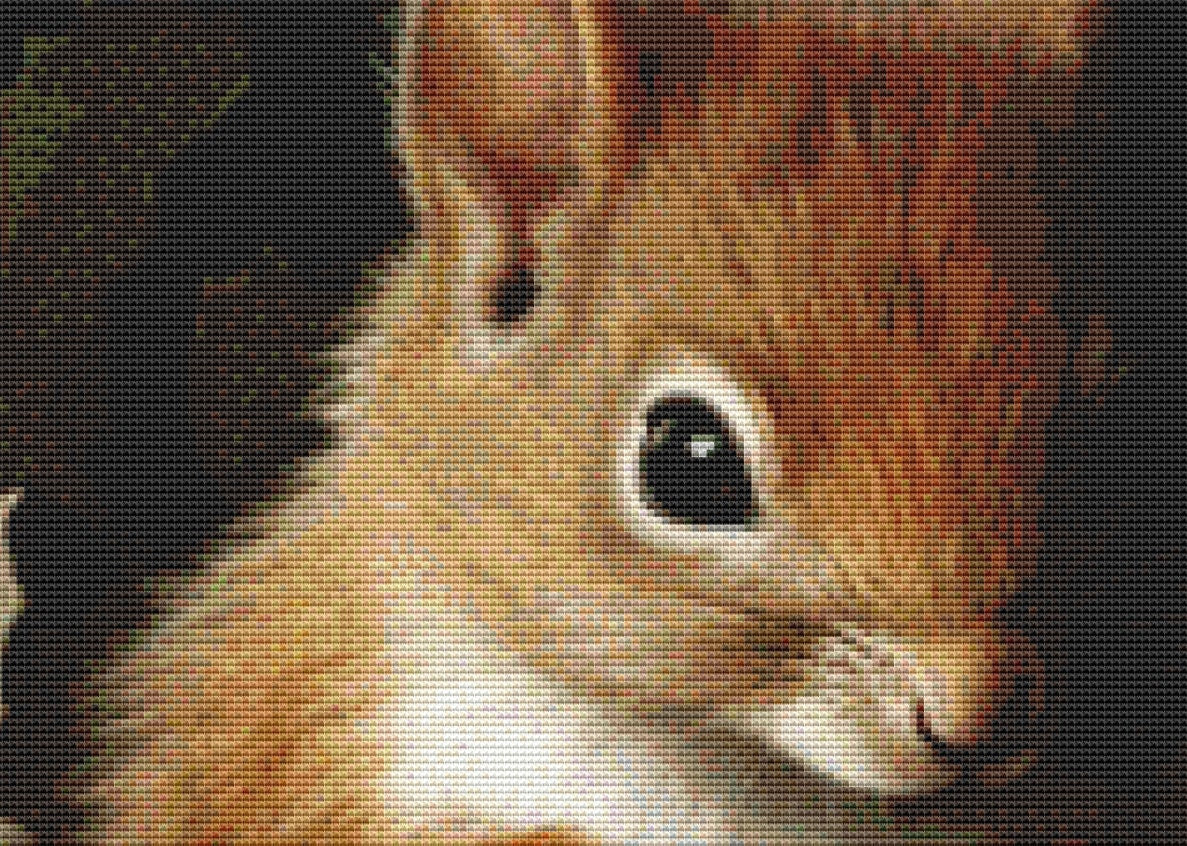 Teacup Squirrel Christmas cross stitch pattern by Tammy L. Gross