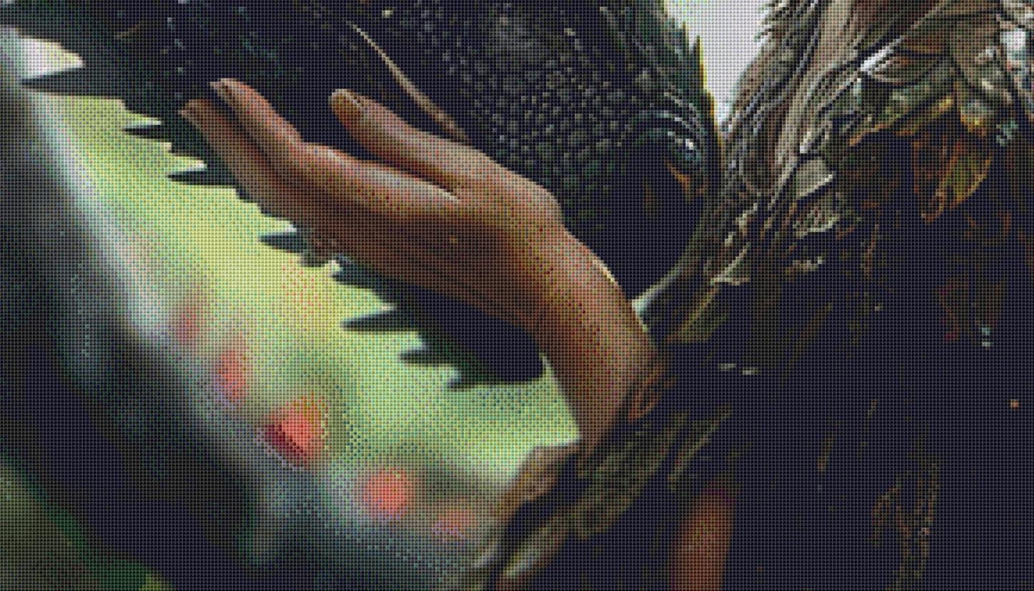 Growing Old Together counted cross stitch pattern by Serr.Kai A Quill & Ink