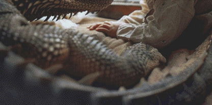 Young Friends counted cross stitch pattern by Serr.Kai A Quill & Ink