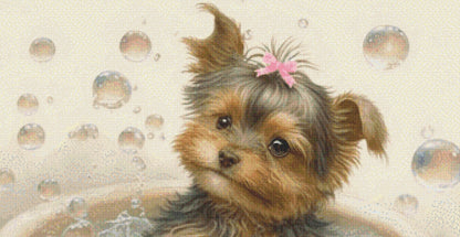 Maddie cross stitch pattern by Tammy L. Gross