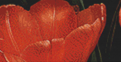 Sweet Read (Max Size Max Color) full coverage counted cross stitch pattern by Eder Jose Rosa