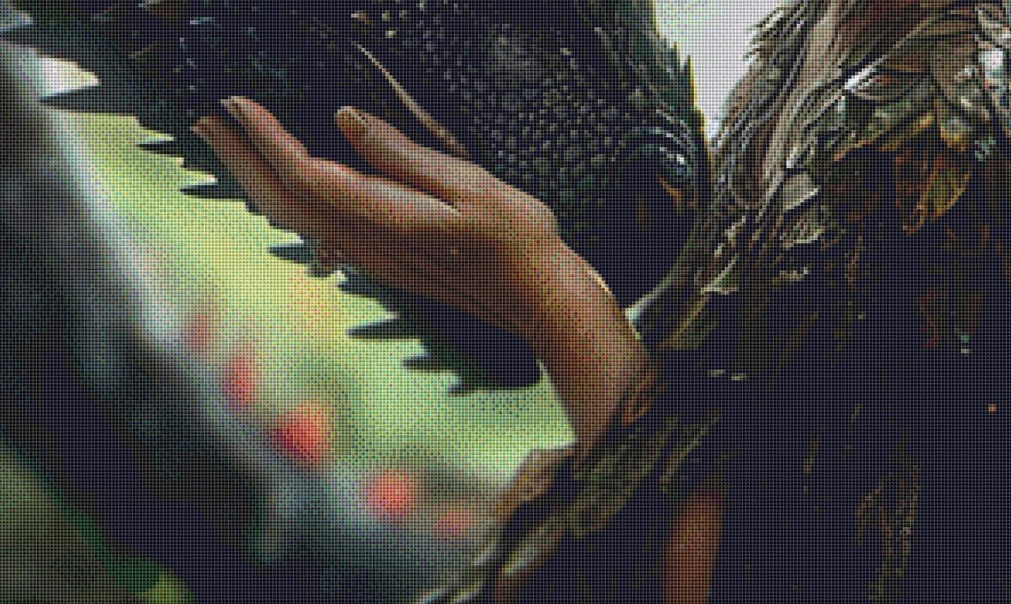 Growing Old Together (Max Color) counted cross stitch pattern by Serr.Kai A Quill & Ink