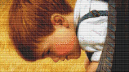 Eye to Eye (Max Size/Color) counted cross stitch pattern by Jim Daly/Ansada Art Licensing Group, LLC