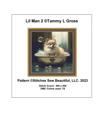 Lil Man 2 cross stitch pattern by Tammy L. Gross