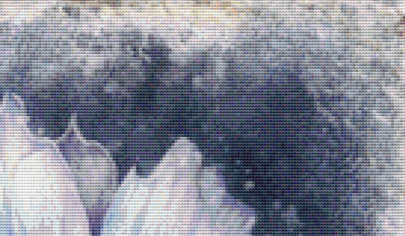 Winter Flower counted cross stitch pattern by LianaScrap