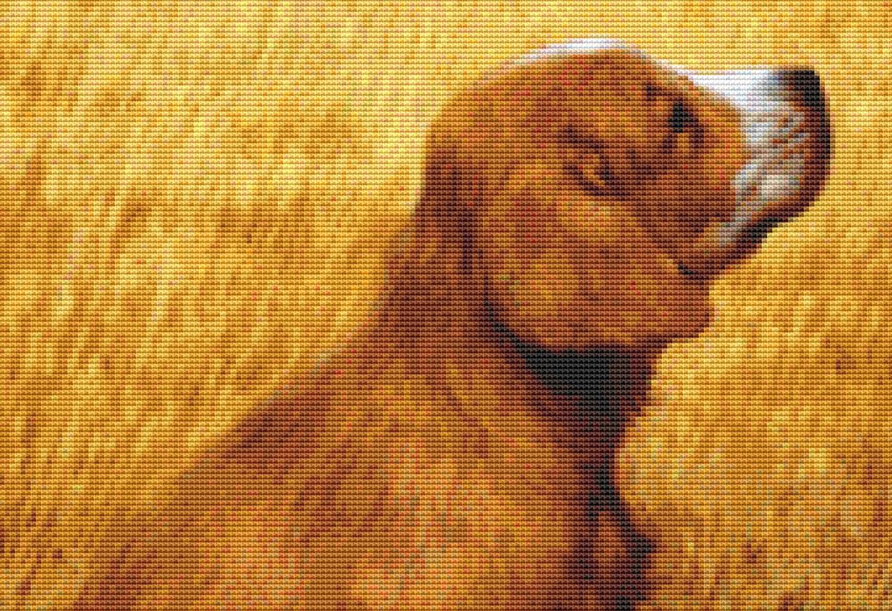 Eye to Eye (Max Size/Color) counted cross stitch pattern by Jim Daly/Ansada Art Licensing Group, LLC