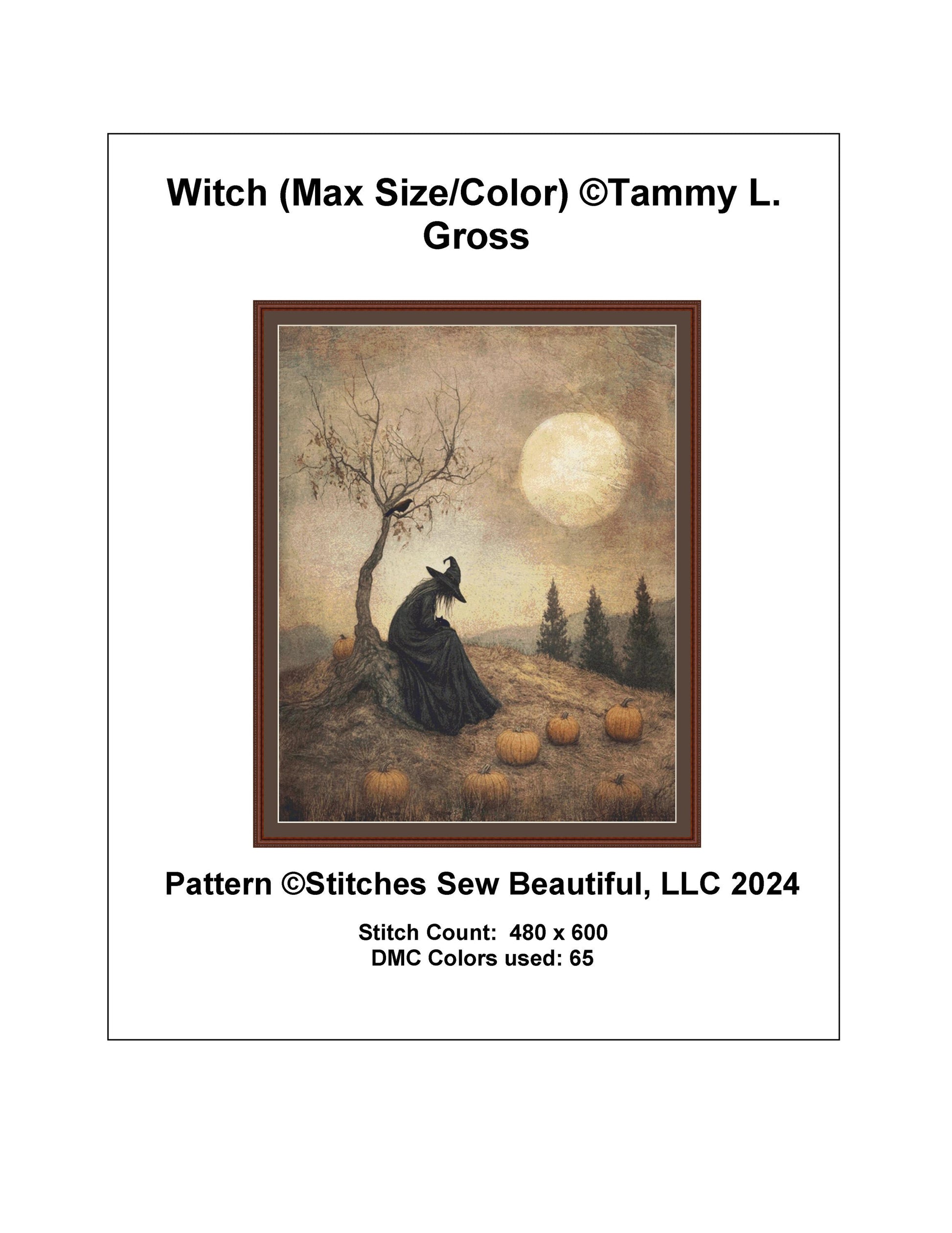 Witch (Max Size/Color) counted cross stitch pattern by Tammy L. Gross