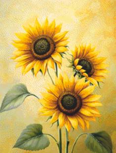 Sunflowers (Small) counted cross stitch pattern by ©Adobe Ext. License