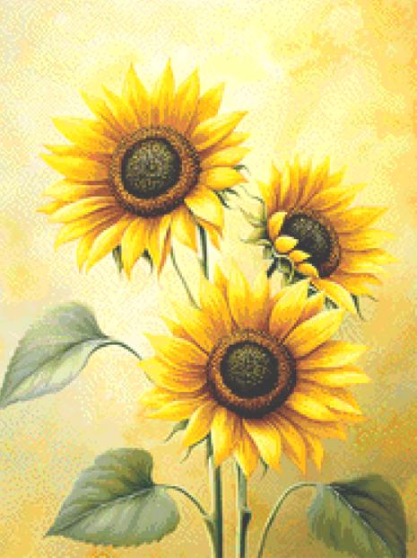 Sunflowers (Small) counted cross stitch pattern by ©Adobe Ext. License