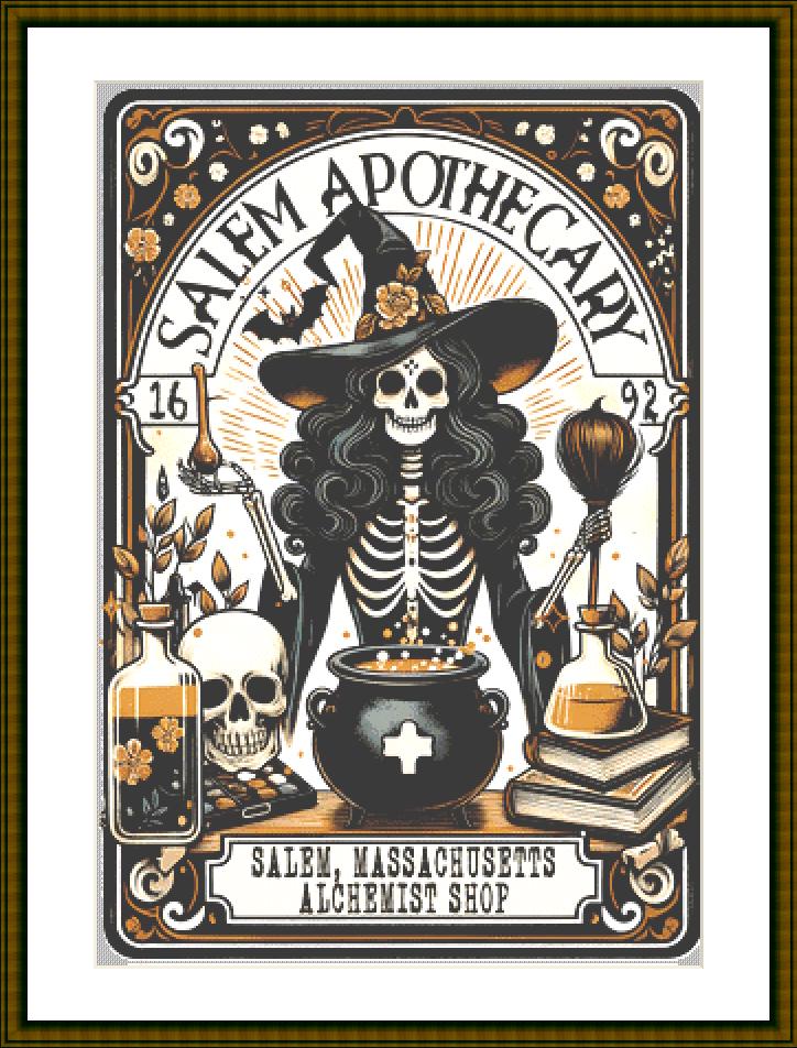 Salem Massachusetts Apothecary counted cross stitch pattern by Pixel Paige Studios