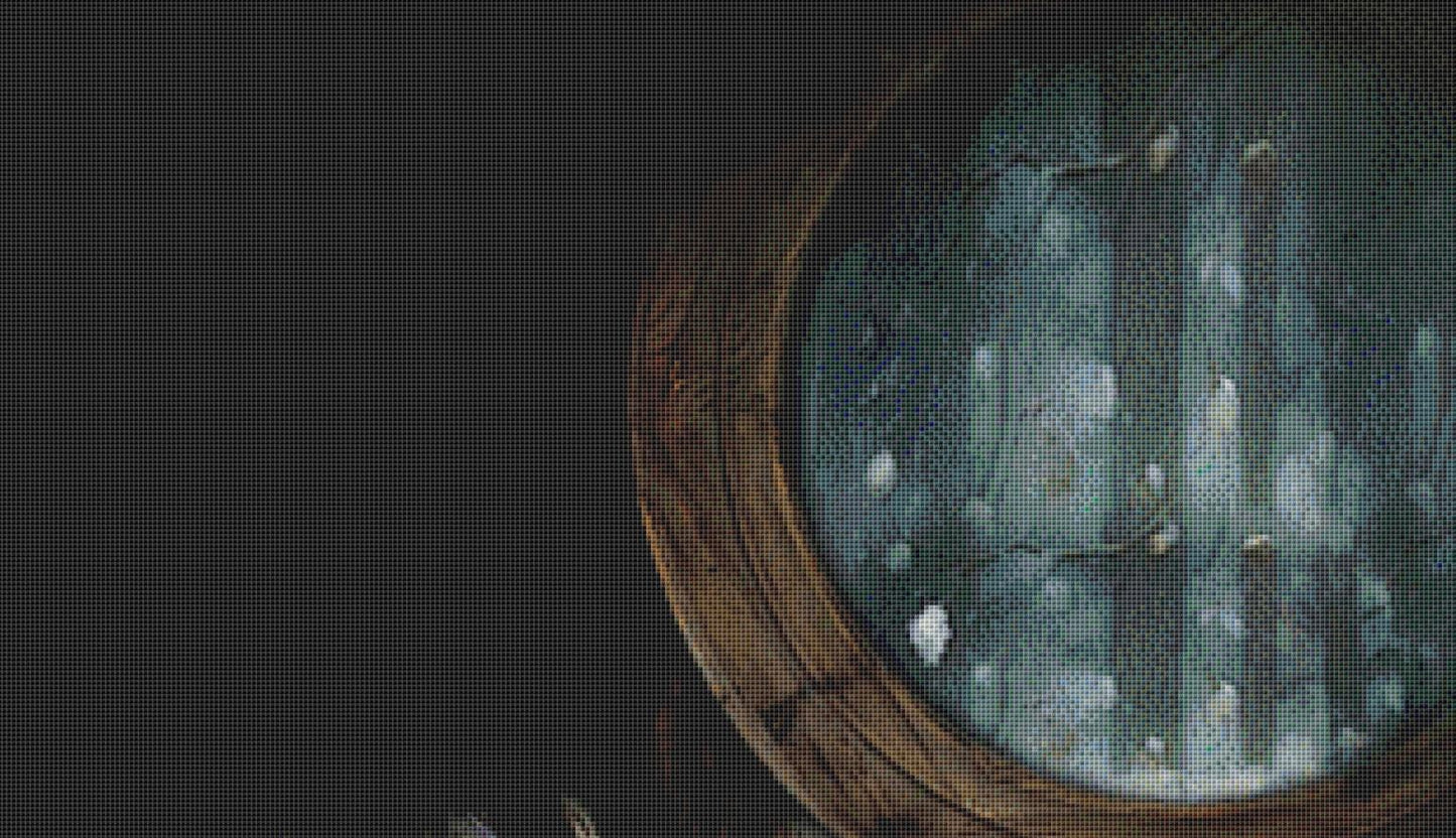 Squirrel by Window counted cross stitch pattern by Tammy L. Gross