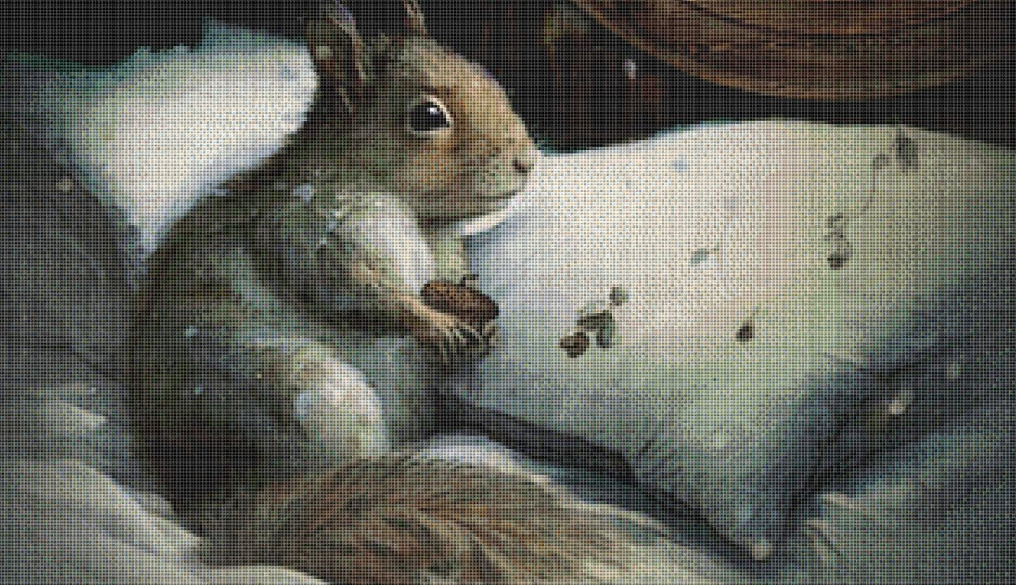 Squirrel by Window counted cross stitch pattern by Tammy L. Gross