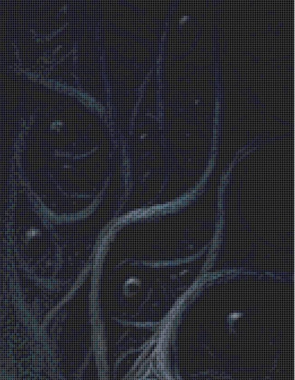 Seeing Eye to Eye counted cross stitch pattern by Grumpy French